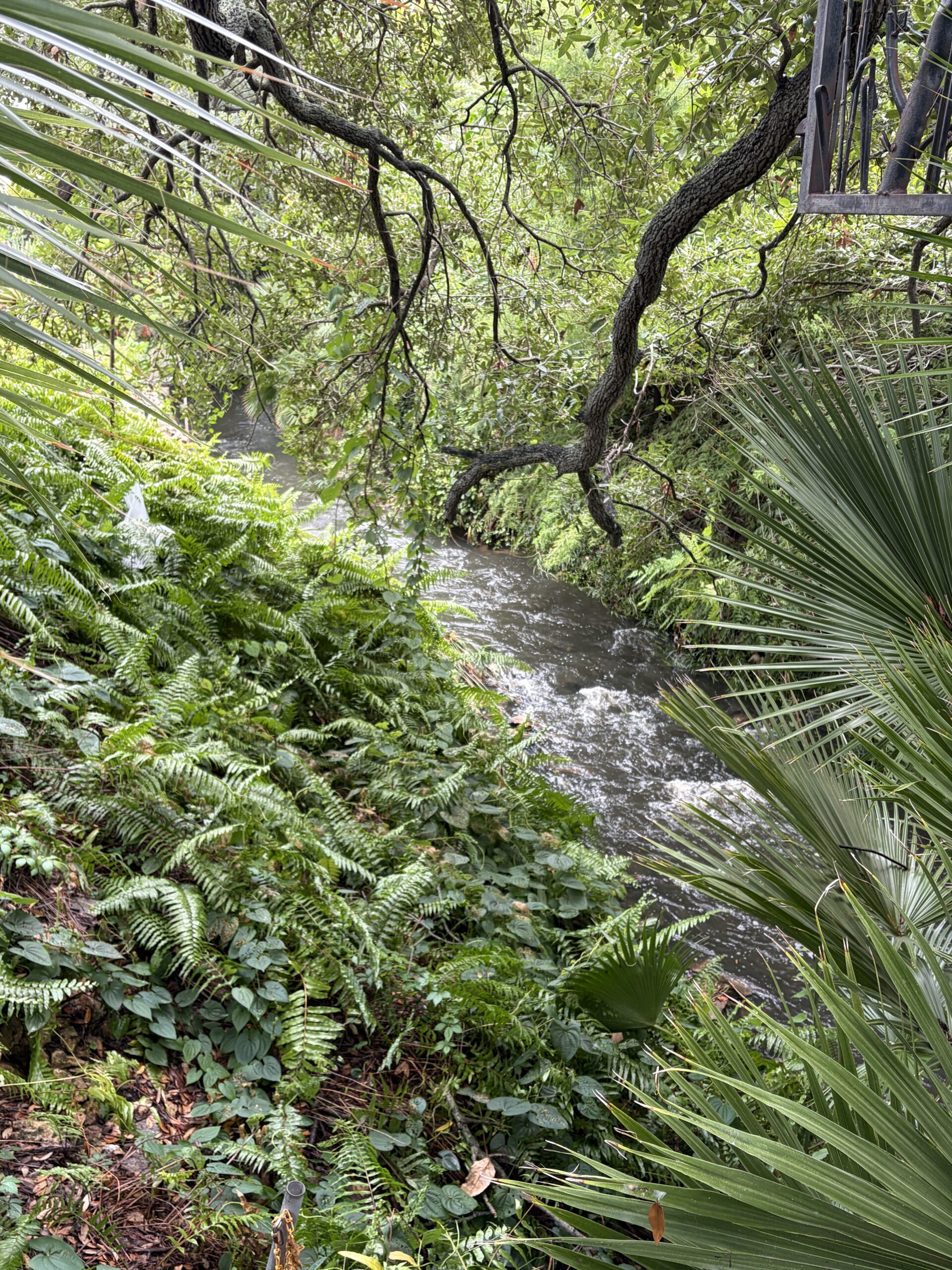 Booker Creek in the EDGE District