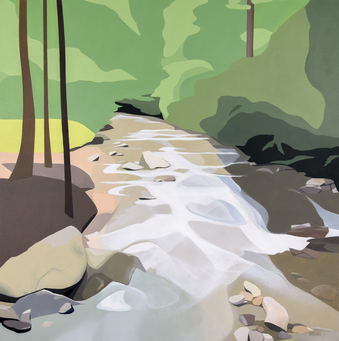 The Creek Drank the Cradle by Elizabeth Barenis