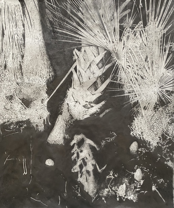 Sabal Palm in Black Water by Steven Bradbury