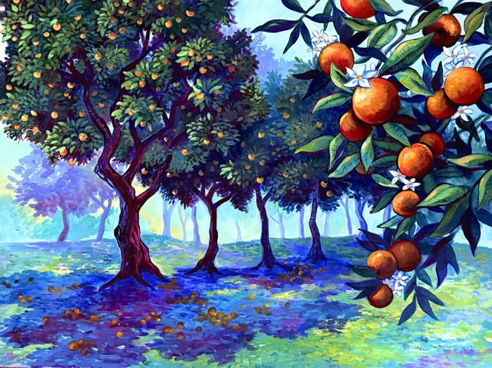 Citrus Fields by Shayna Cohen