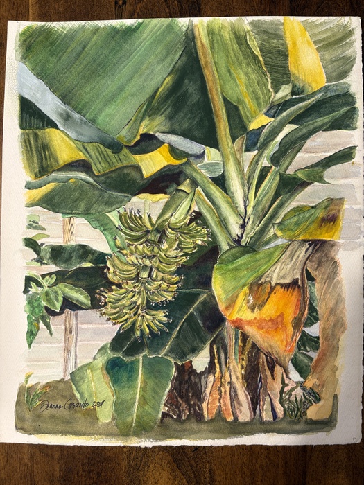 Backyard Bananas by Deanna Corarito