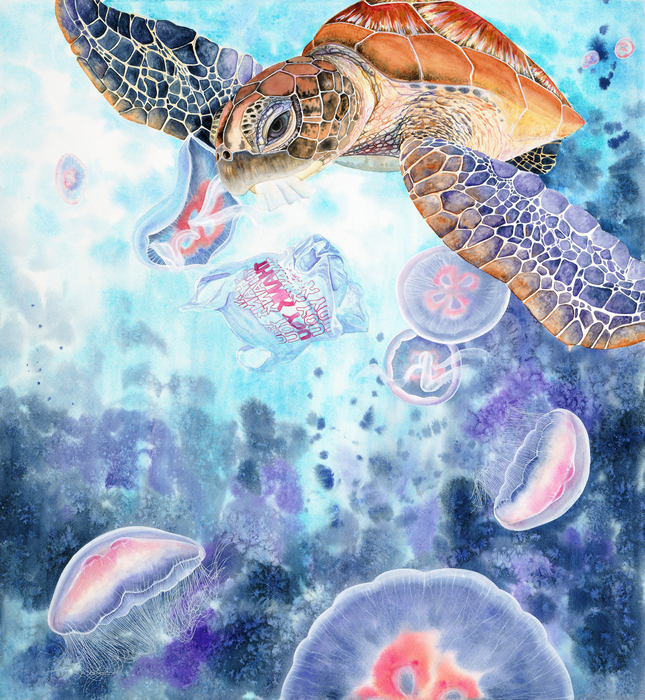 Deceptive Drift by Samantha Dormio