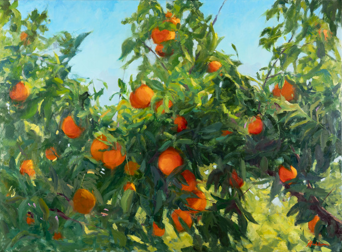 Among the Groves by Jane Haskins