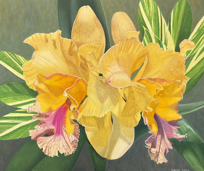 Gold Flamboyance by Christine Knize