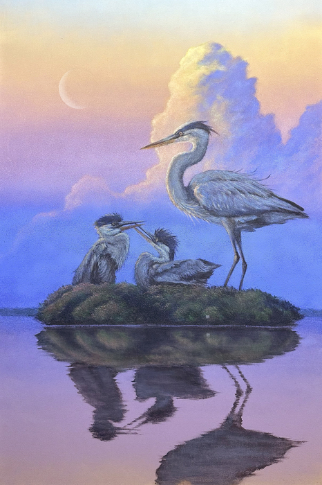 Little Bird Key by Brian McAllister