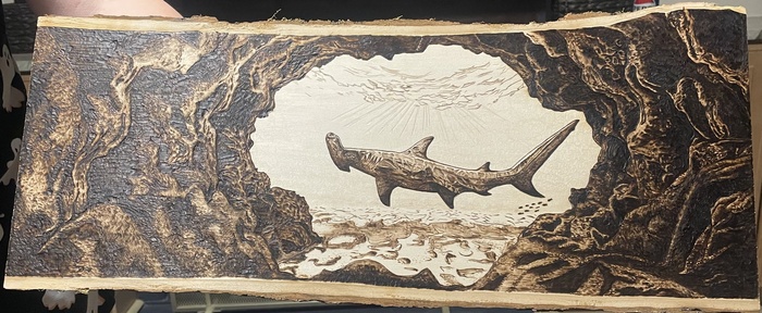 Hammerhead from Cave by Jodie McBeth
